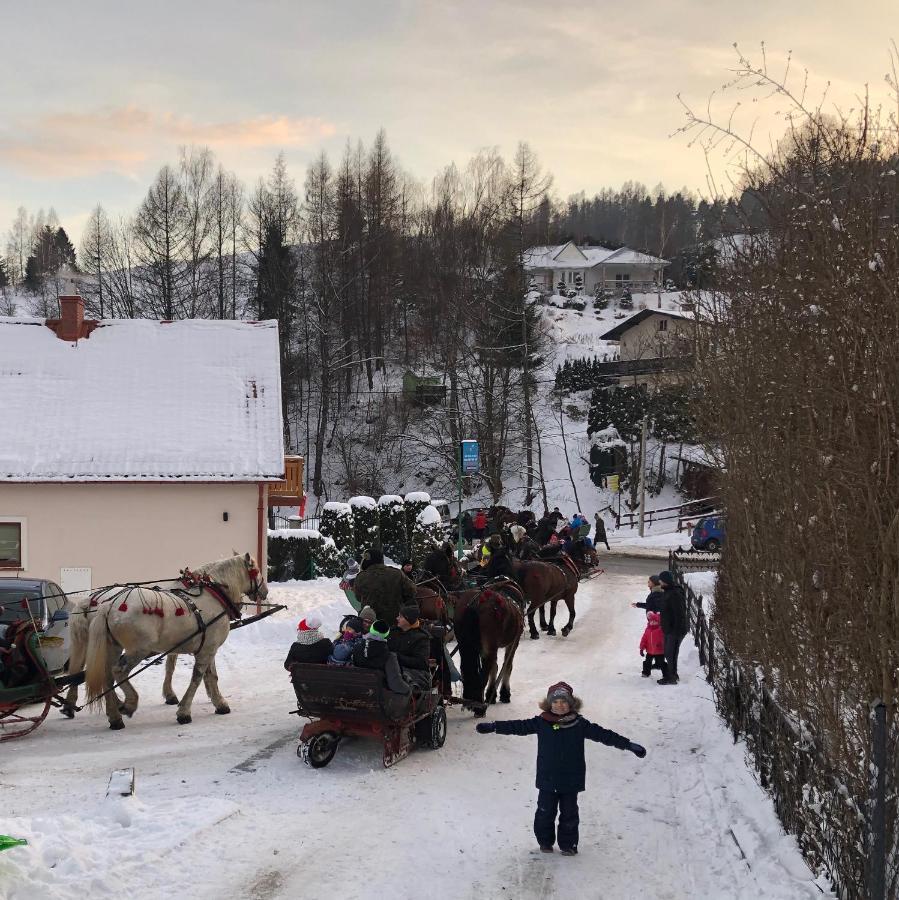 Willa Karla Krynica Zdroj Bagian luar foto